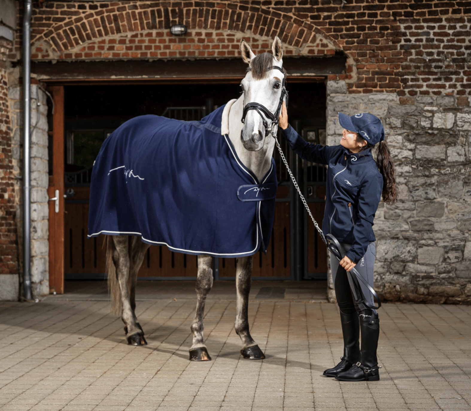 Frontalino Clincher Ottone Dressage Collection DYON